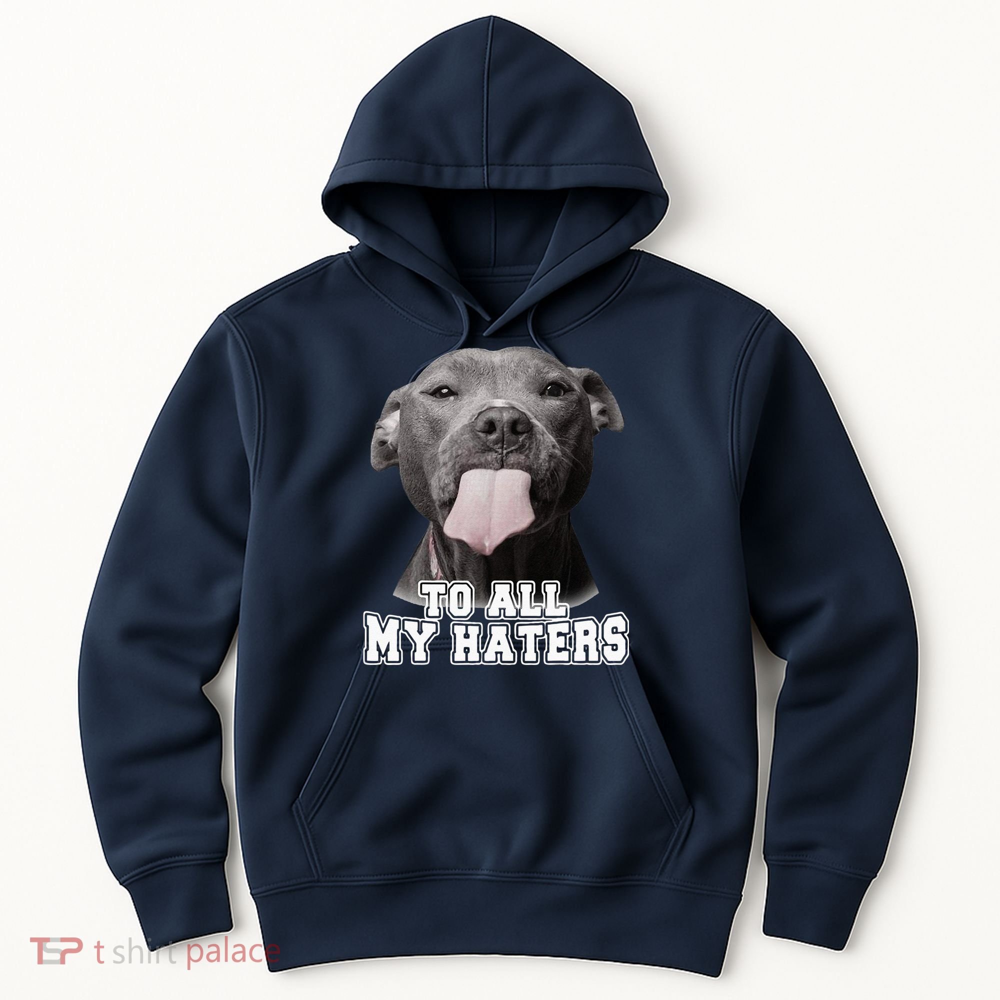 Funny Pitbull To All My Haters Pitbull Dog Lover Gift Hoodie