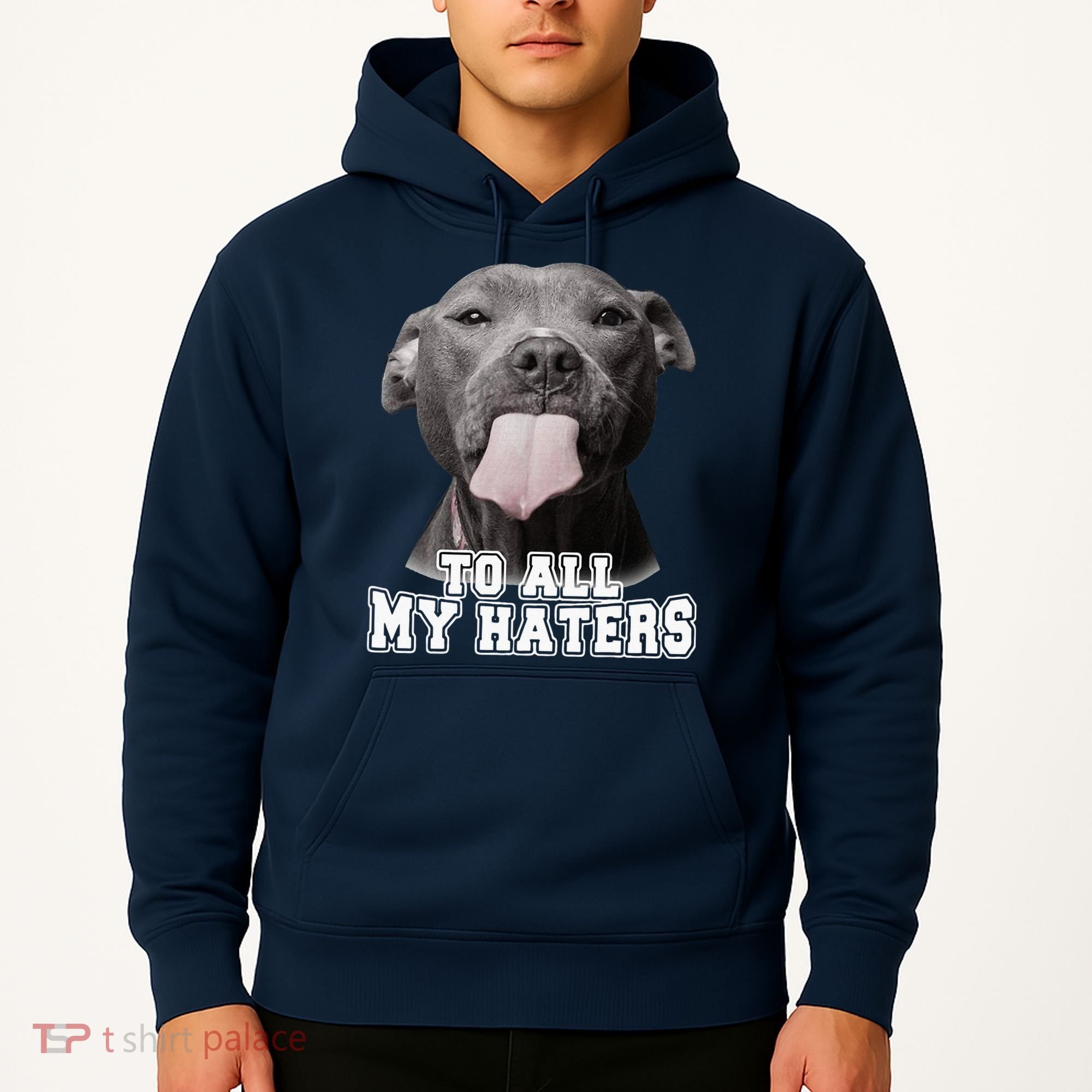 Funny Pitbull To All My Haters Pitbull Dog Lover Gift Hoodie