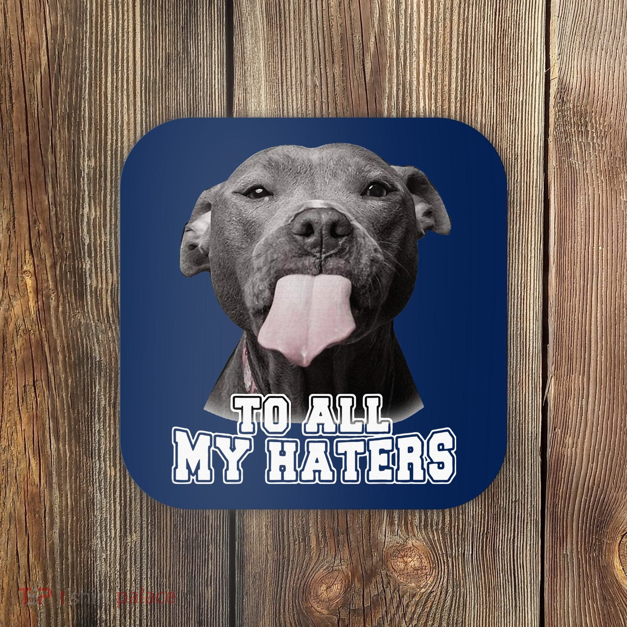 Funny Pitbull To All My Haters Pitbull Dog Lover Gift Coaster