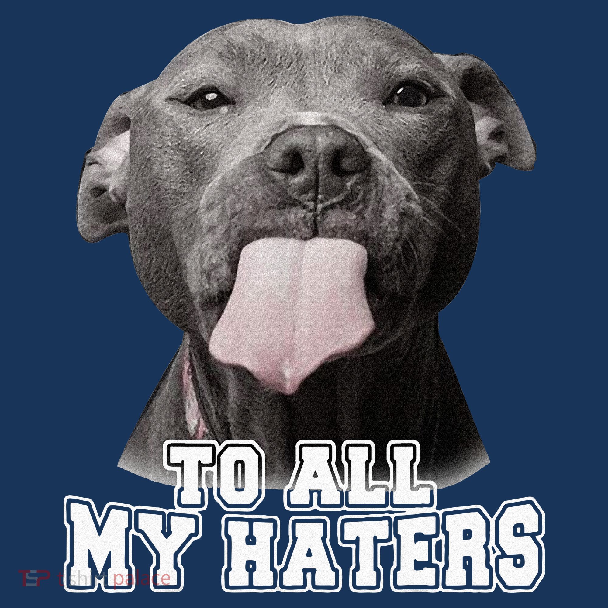 Funny Pitbull To All My Haters Pitbull Dog Lover Gift Women's Hoodie
