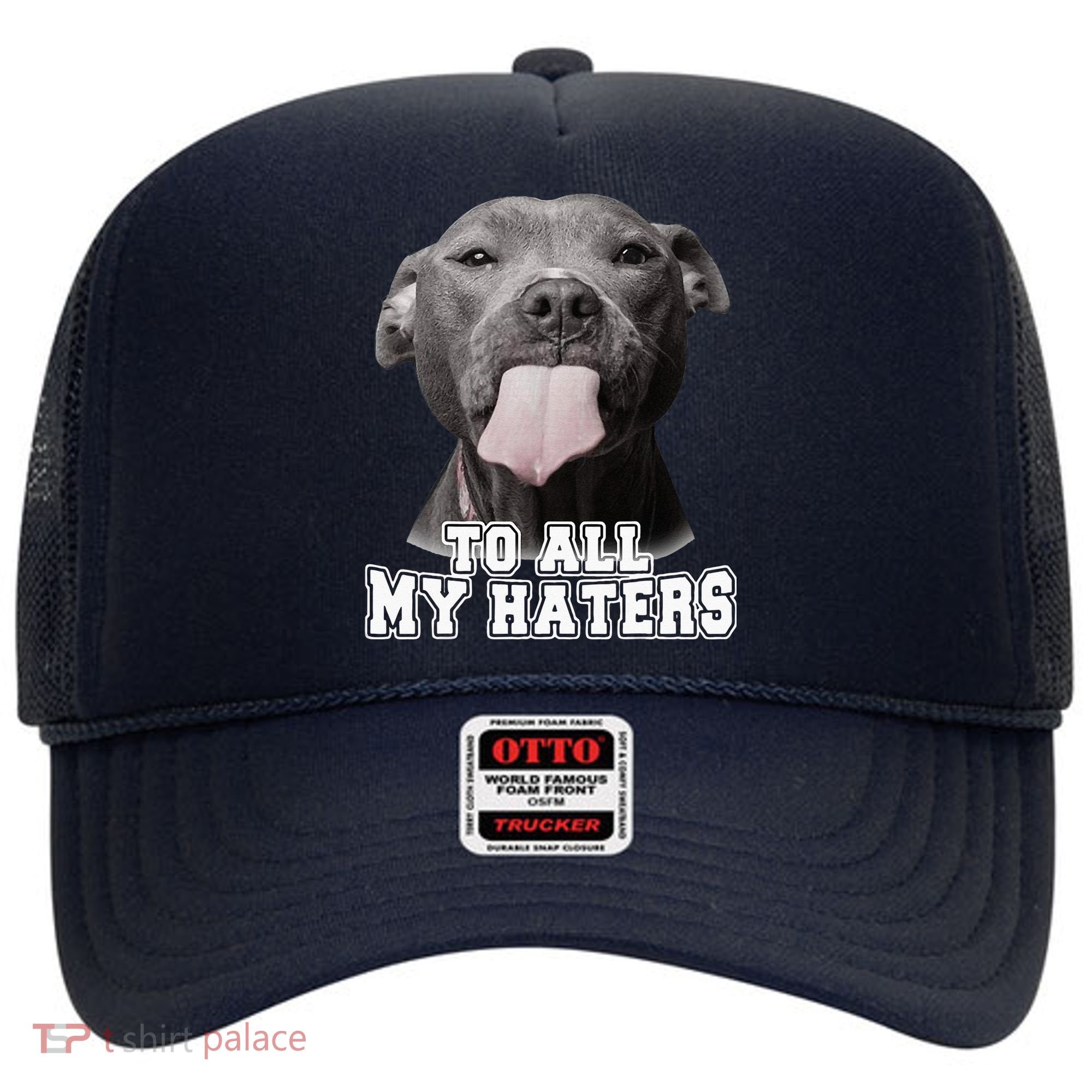 Funny Pitbull To All My Haters Pitbull Dog Lover Gift Hat