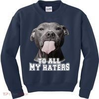 Funny Pitbull To All My Haters Pitbull Dog Lover Gift Kids Sweatshirt thumb 0