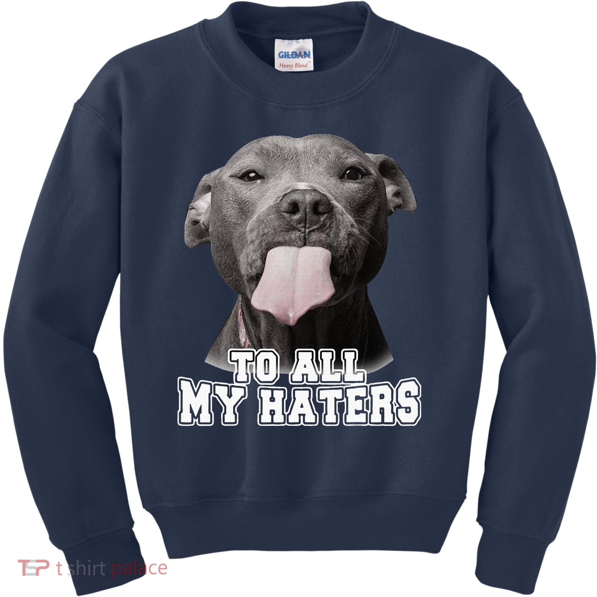 Funny Pitbull To All My Haters Pitbull Dog Lover Gift Kids Sweatshirt