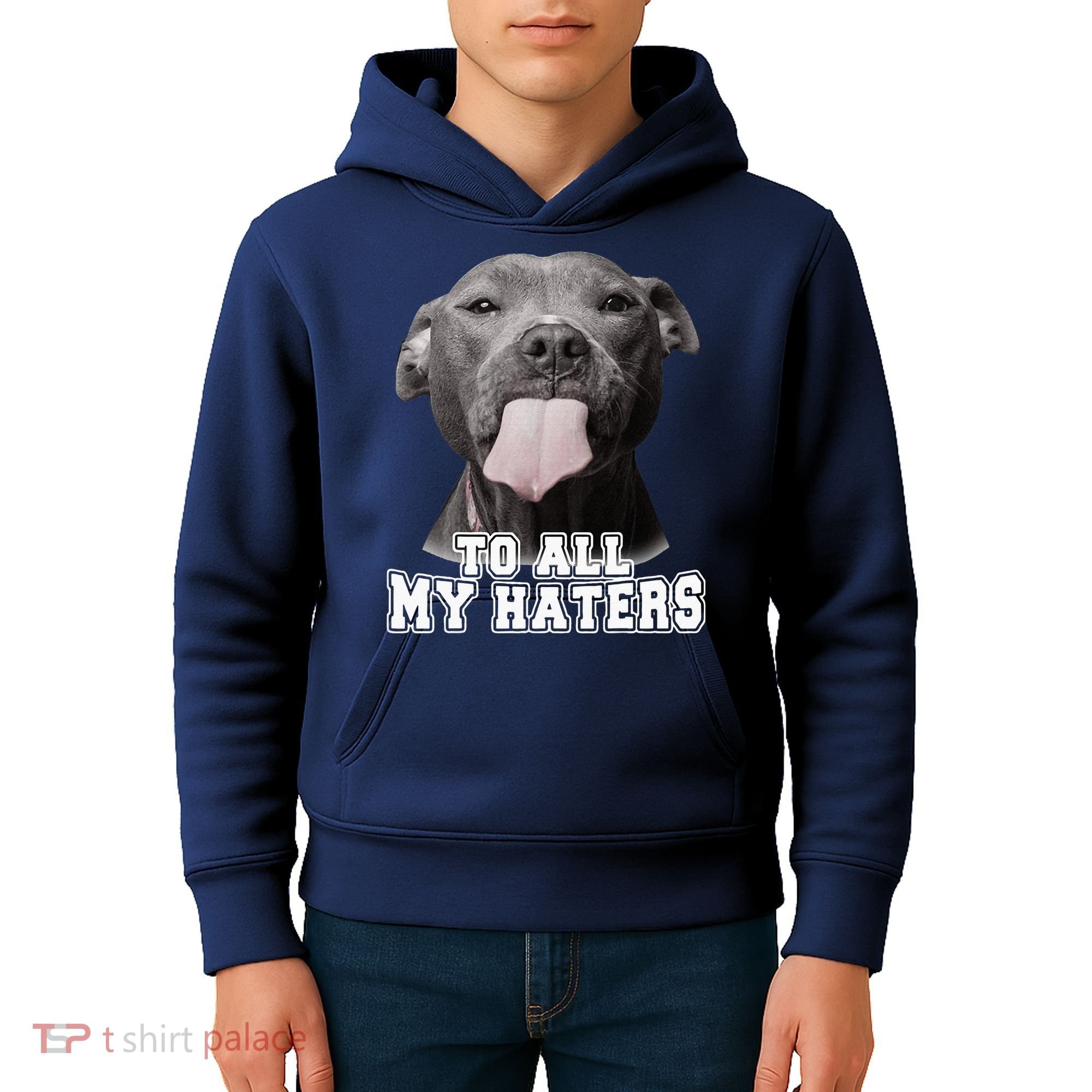 Funny Pitbull To All My Haters Pitbull Dog Lover Gift Kids Hoodie