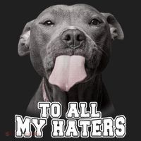 Funny Pitbull To All My Haters Shirt Pitbull Dog Lover Gift Beanie thumb 2