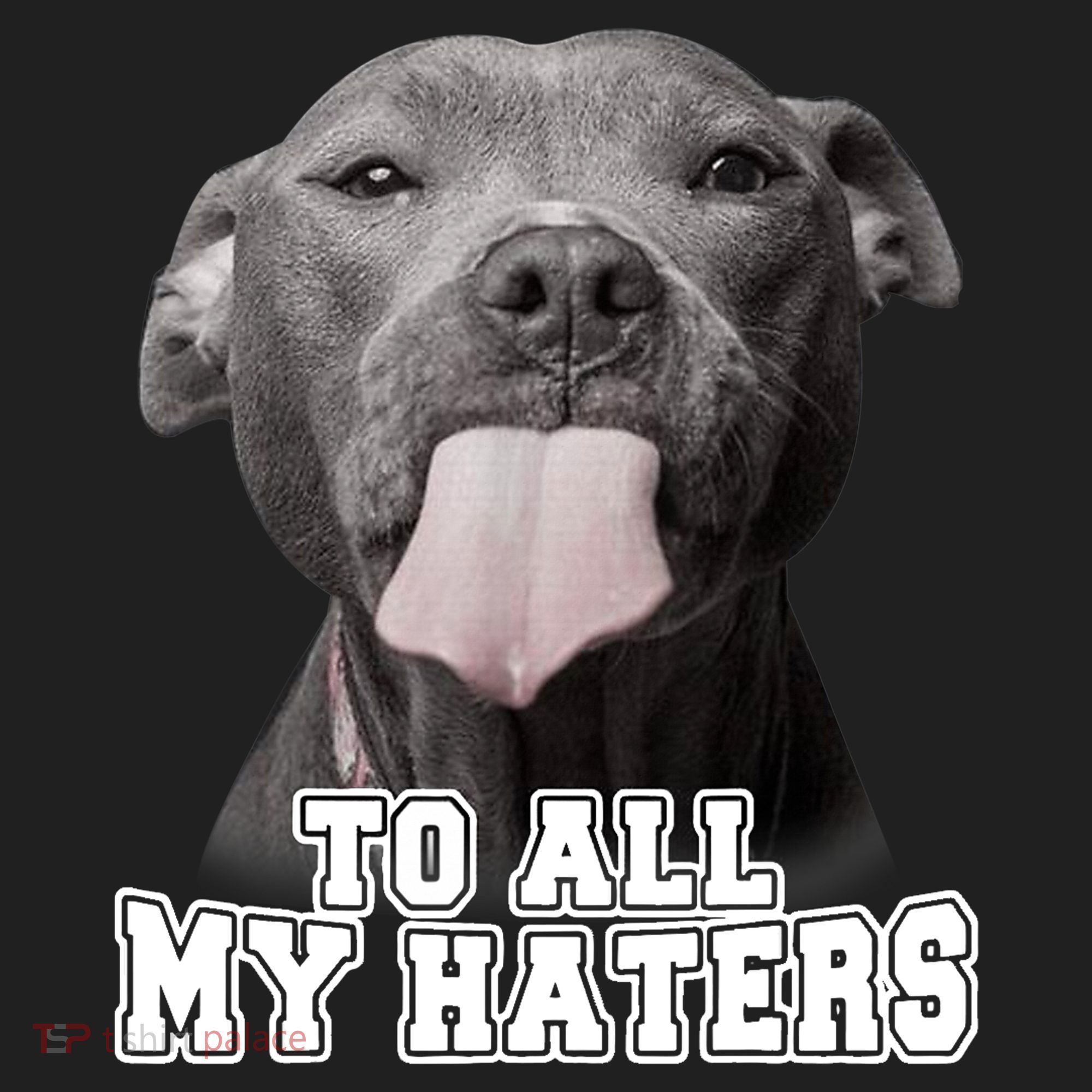 Funny Pitbull To All My Haters Shirt Pitbull Dog Lover Gift Beanie