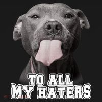 Funny Pitbull To All My Haters Shirt Pitbull Dog Lover Gift Women's Hoodie thumb 2