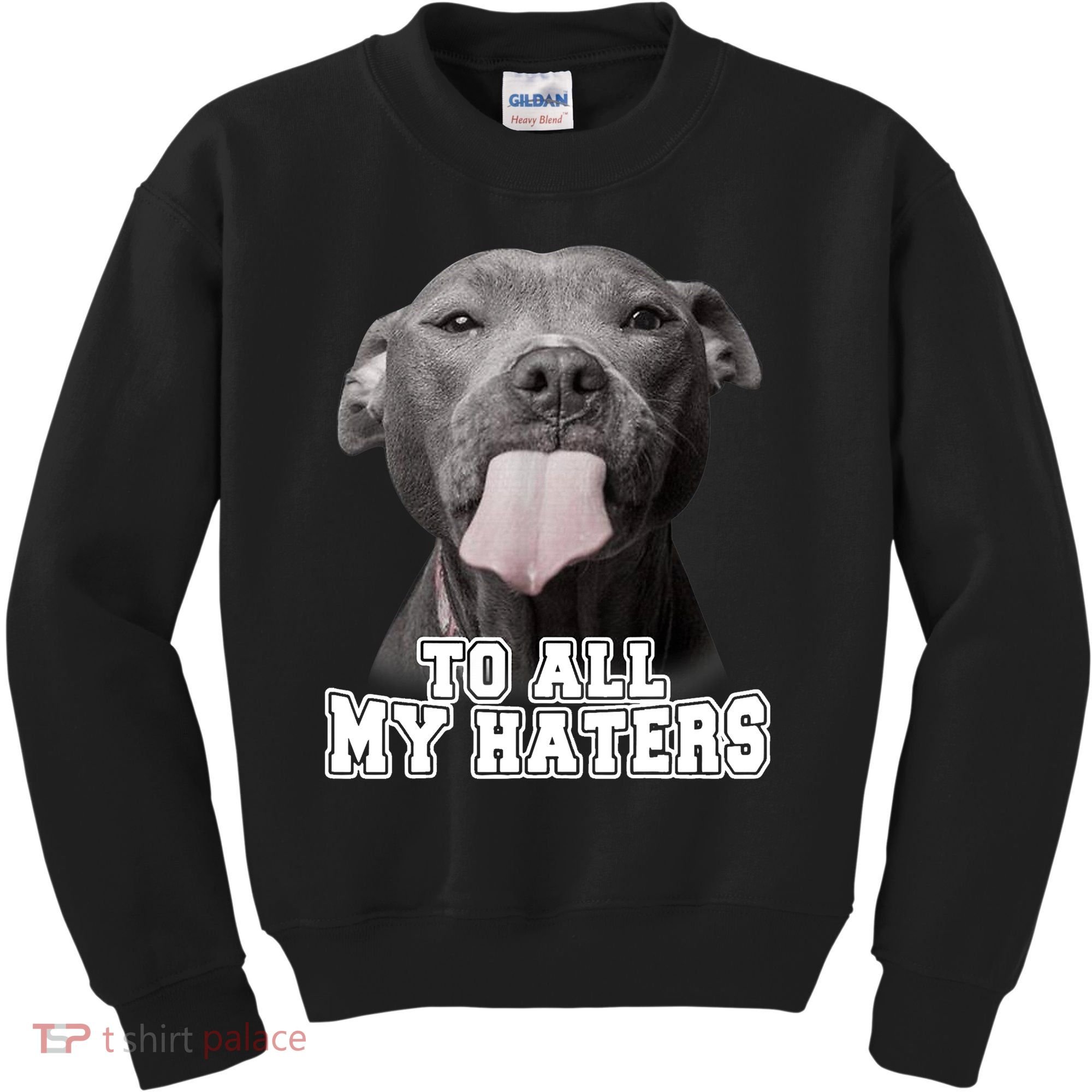 Funny Pitbull To All My Haters Shirt Pitbull Dog Lover Gift Kids Sweatshirt
