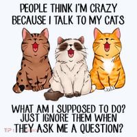 Funny People Think Im Crazy Because I Talk To My Cats Mom Hat thumb 2