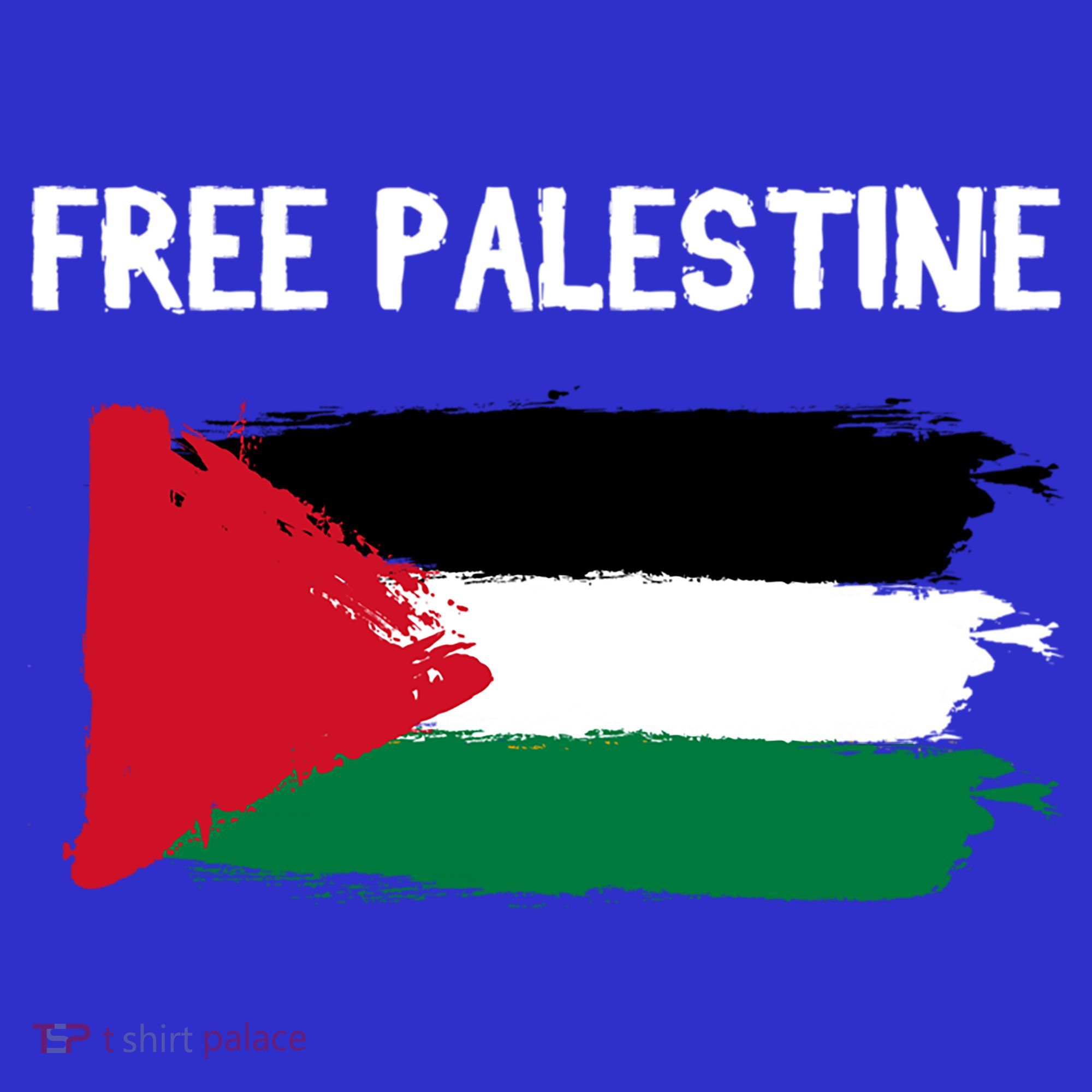 Free Palestine Vintage Distressed Palestinian Flag Gift T-Shirt