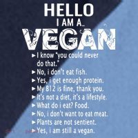 Funny Pro Vegan Activism Gym Athlete Gift Christmas Raglan Baseball Sleeve Shirt thumb 2