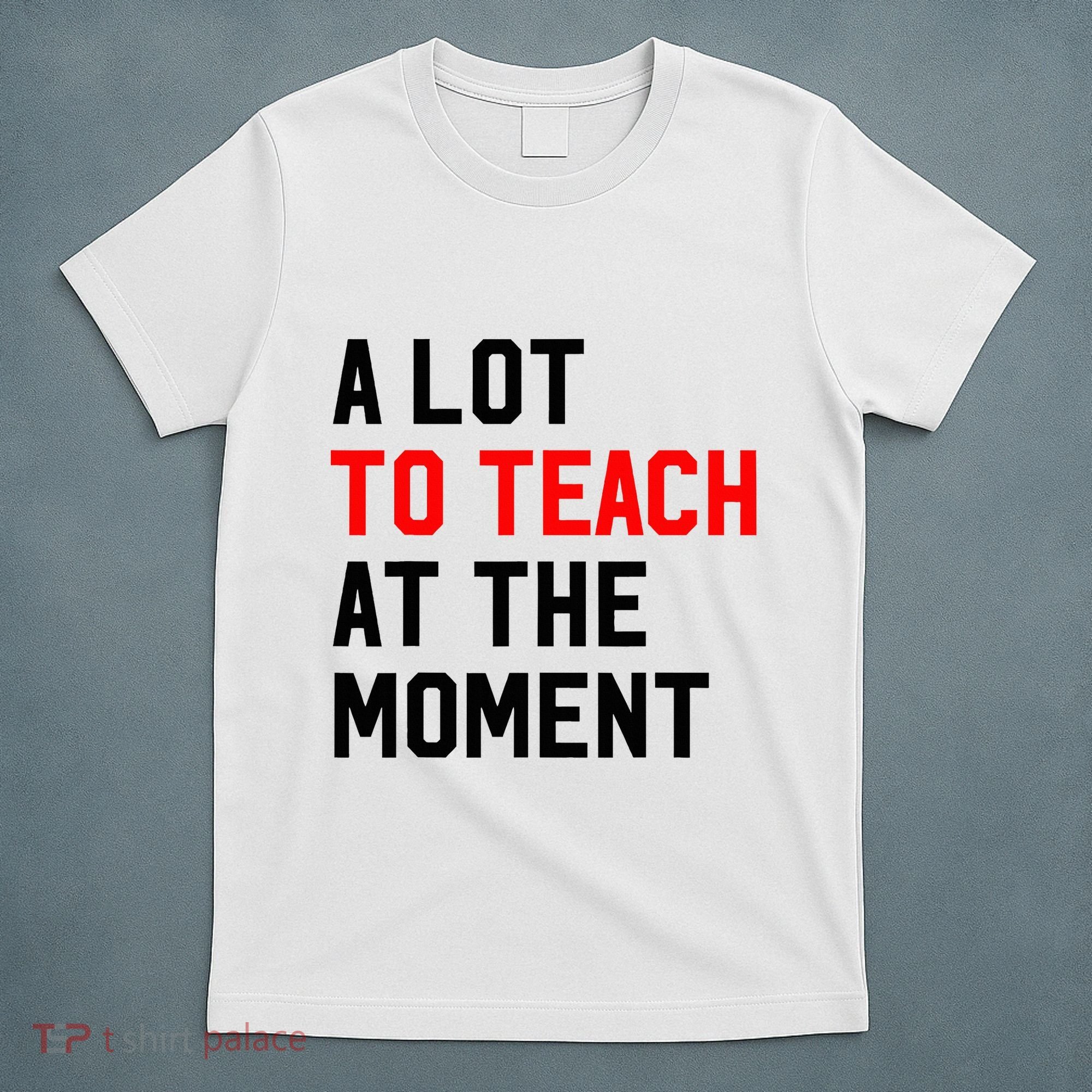 Funny Quote A Lot To Teach At The Moment Teacher T-Shirt