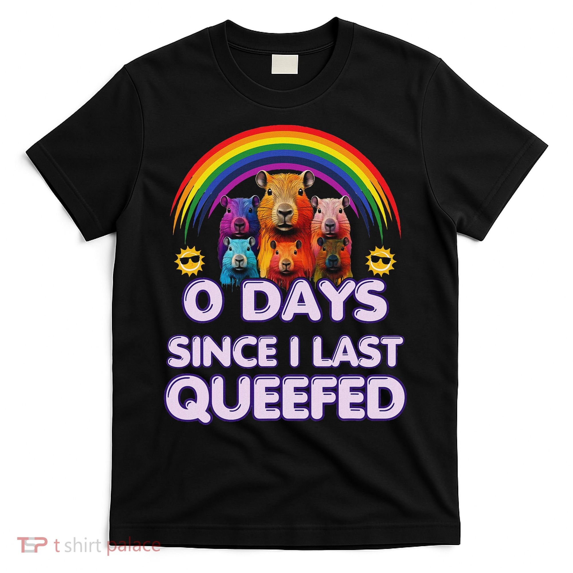 Funny Queefed Embarrassing Adult Humor Sarcastic Adult T-Shirt
