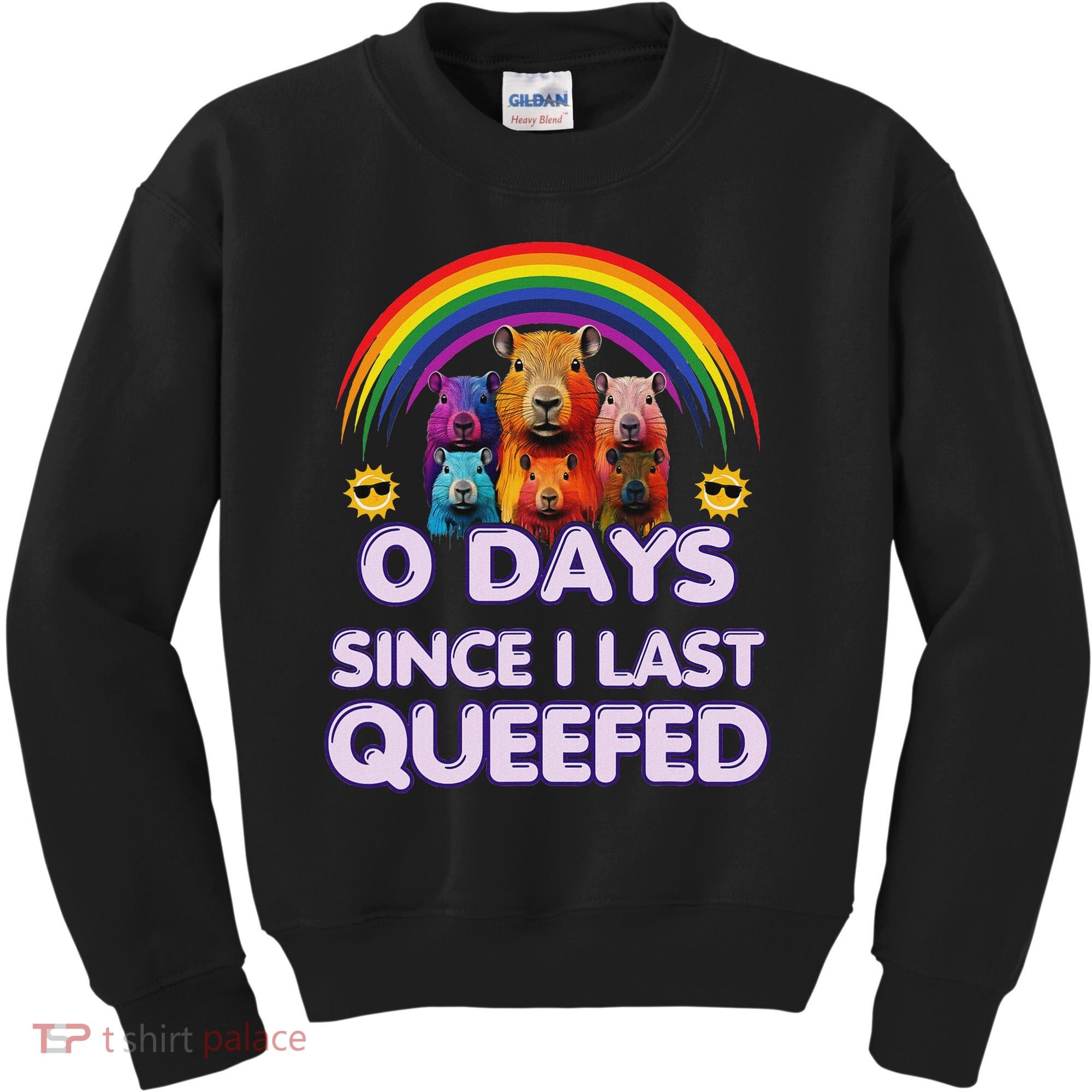 Funny Queefed Embarrassing Adult Humor Sarcastic Adult Kids Sweatshirt