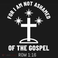 Funny Quote I Am Not Ashamed Of The Gospel 115 christmas Women's Hoodie thumb 2