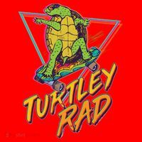 Funny Retro 80's Turtley Rad Skateboarding Turtle Santa Hat thumb 1