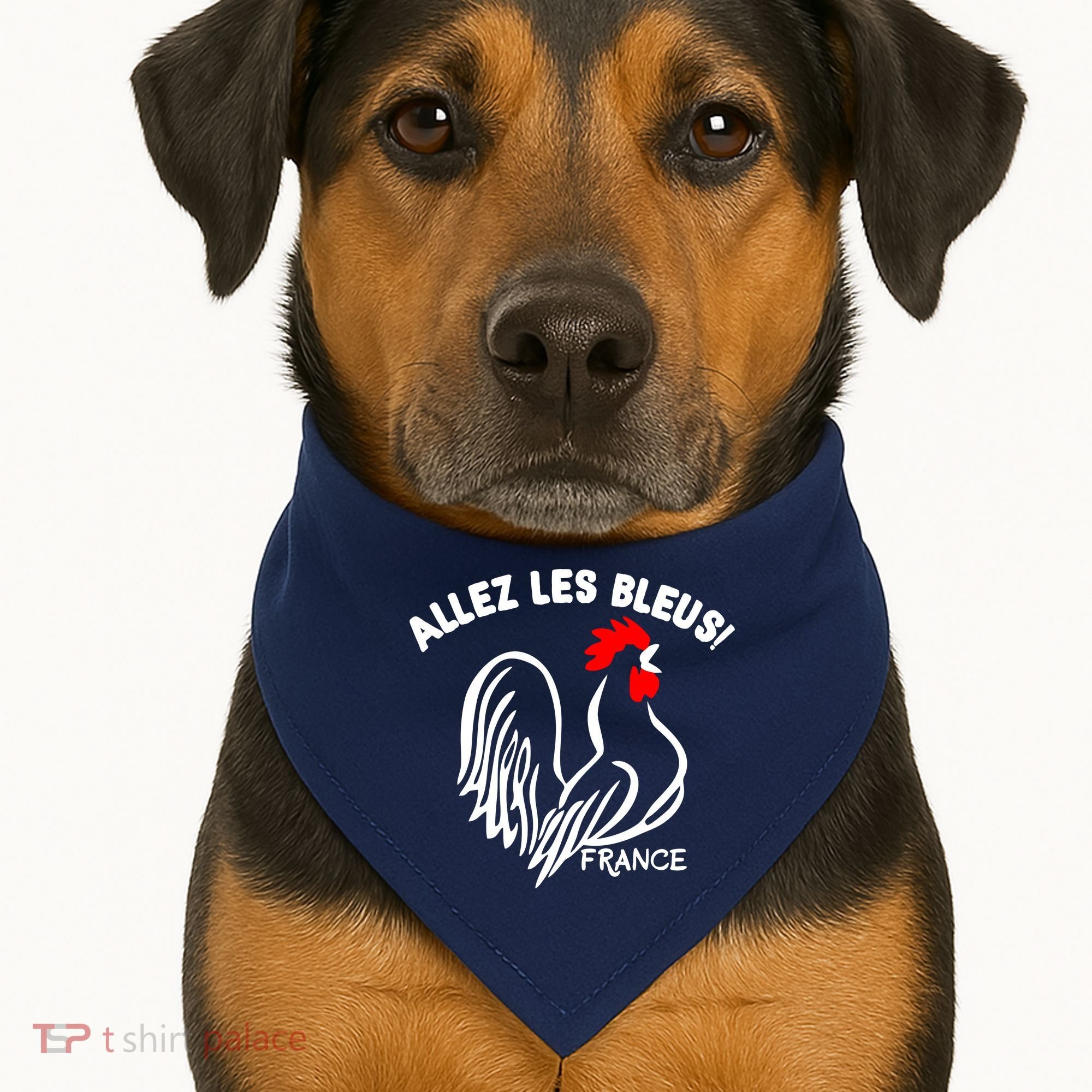 France Soccer Allez Les Bleus World USA-Made Doggie Bandana