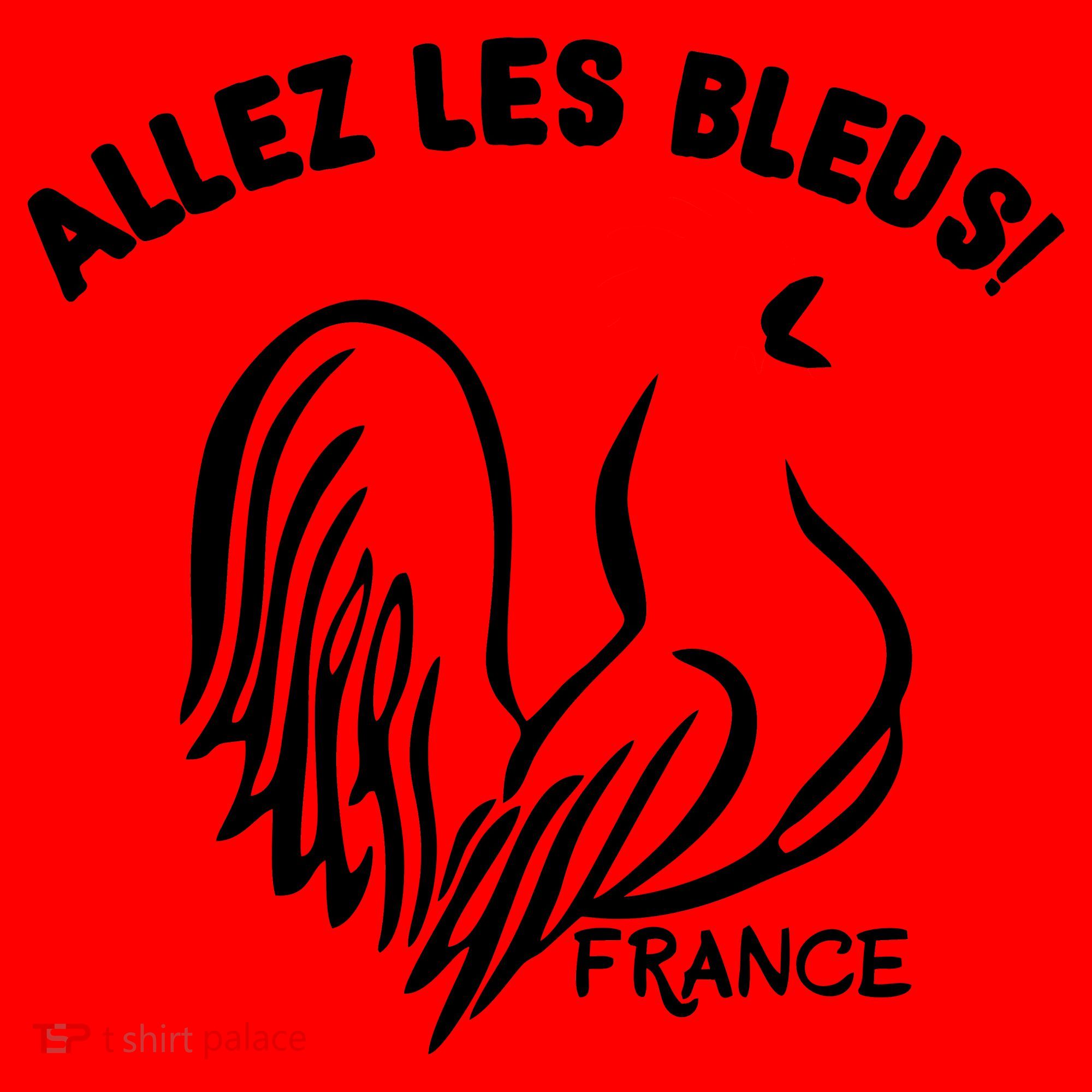 France Soccer Allez Les Bleus World Santa Hat