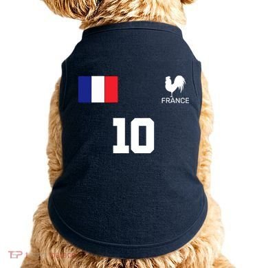 France Soccer Jersey Doggie Tank
