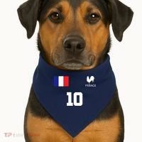 France Soccer Jersey USA-Made Doggie Bandana thumb 1