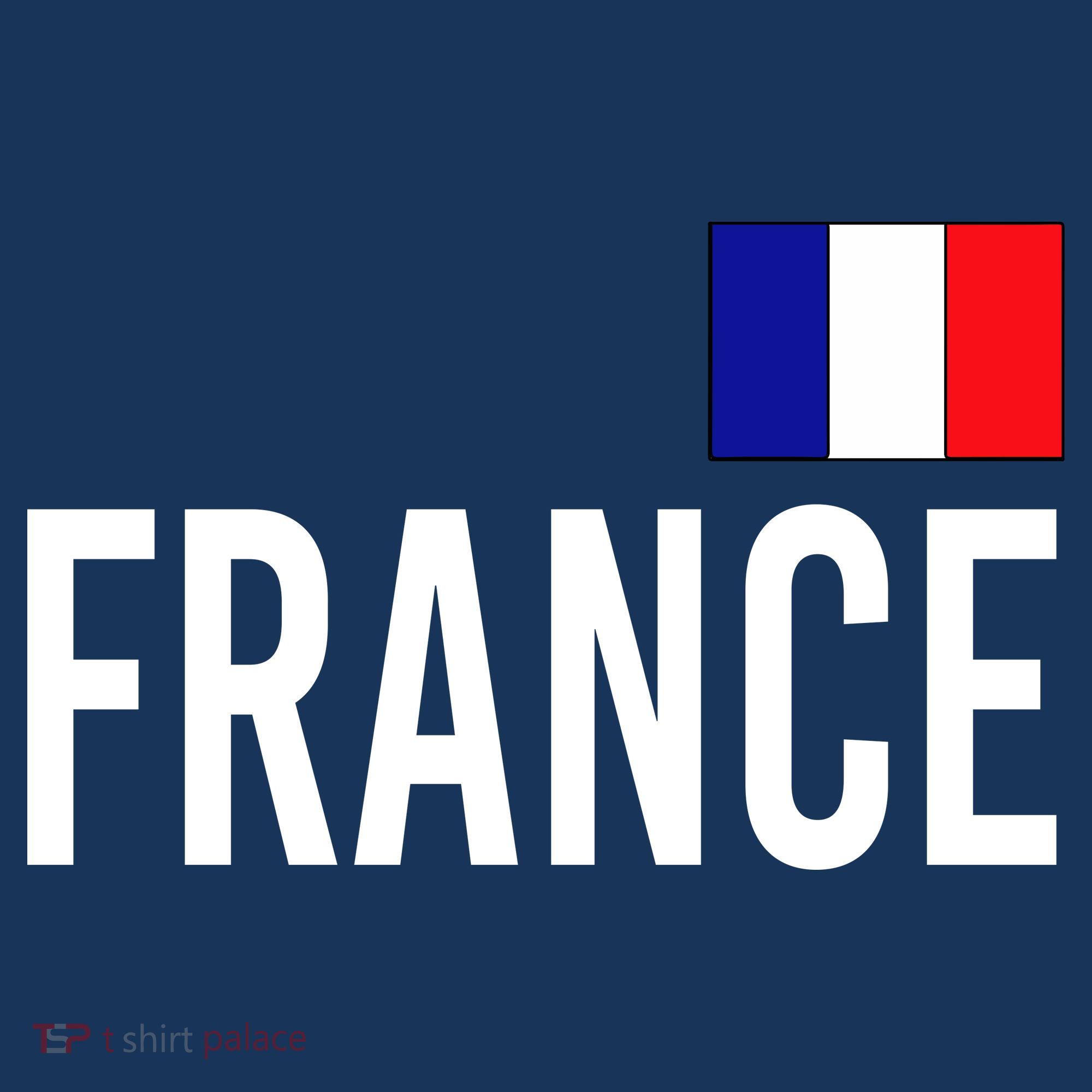 France Team Flag Logo Beanie