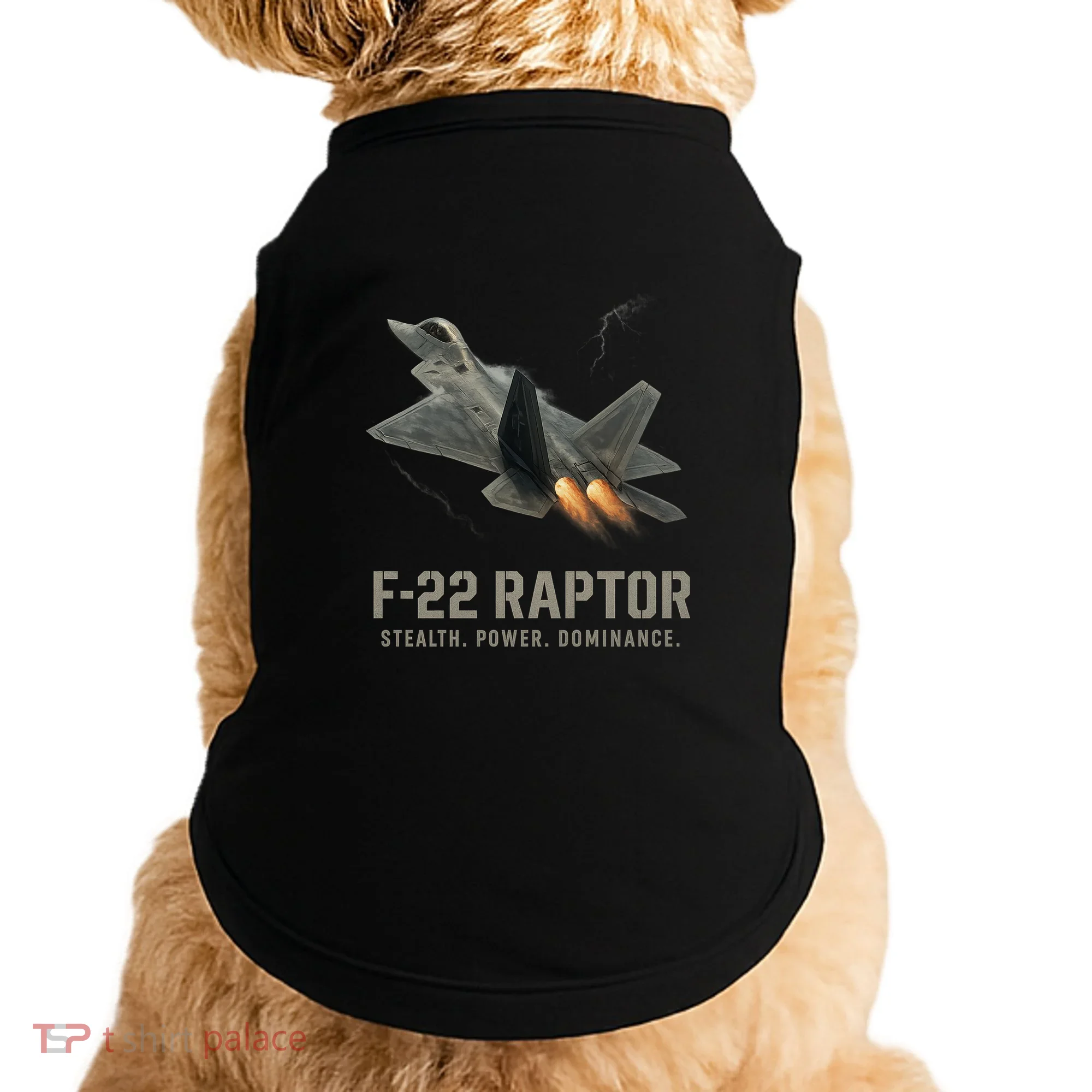 F-22 Raptor Banking Through Storm Clouds Doggie Tank