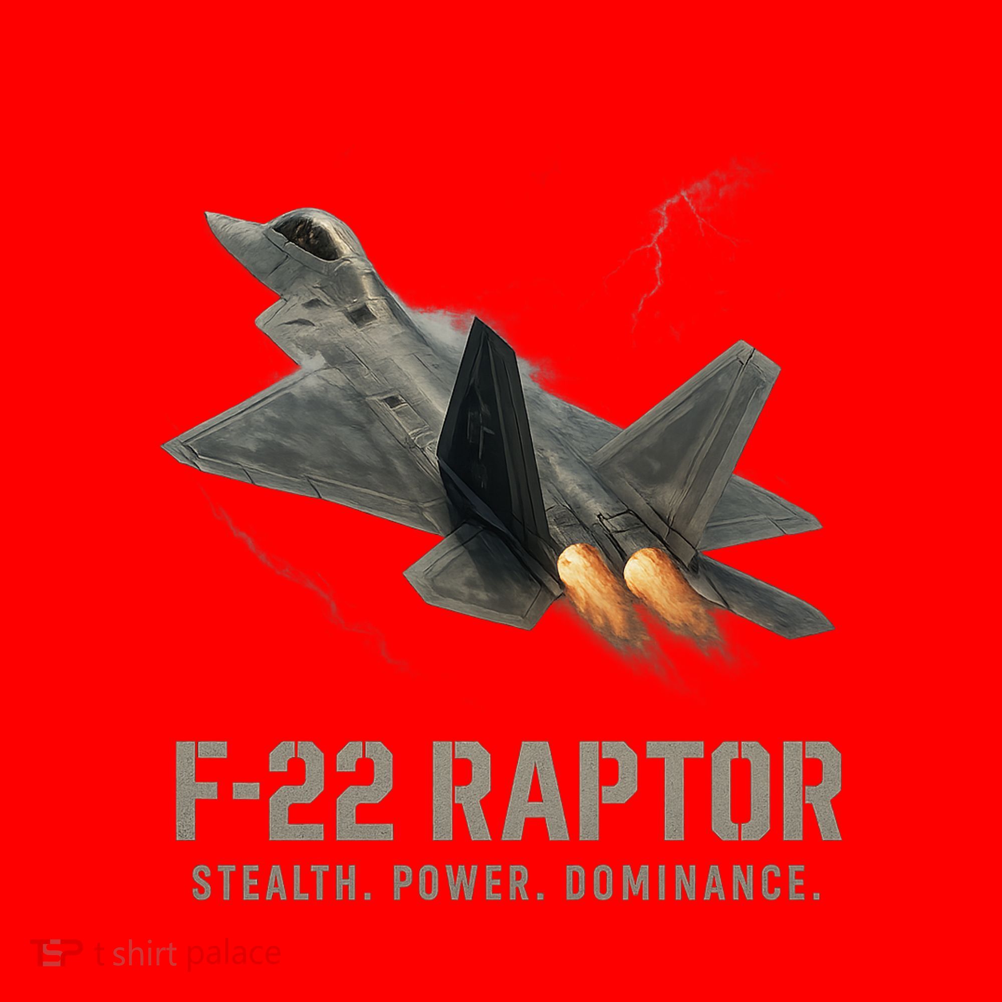 F-22 Raptor Banking Through Storm Clouds Santa Hat