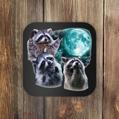 Funny Raccoon Boxer Trash Money We Gettin Rich Coaster