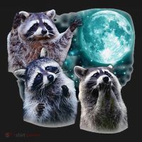 Funny Raccoon Boxer Trash Money We Gettin Rich Women's Hoodie thumb 2