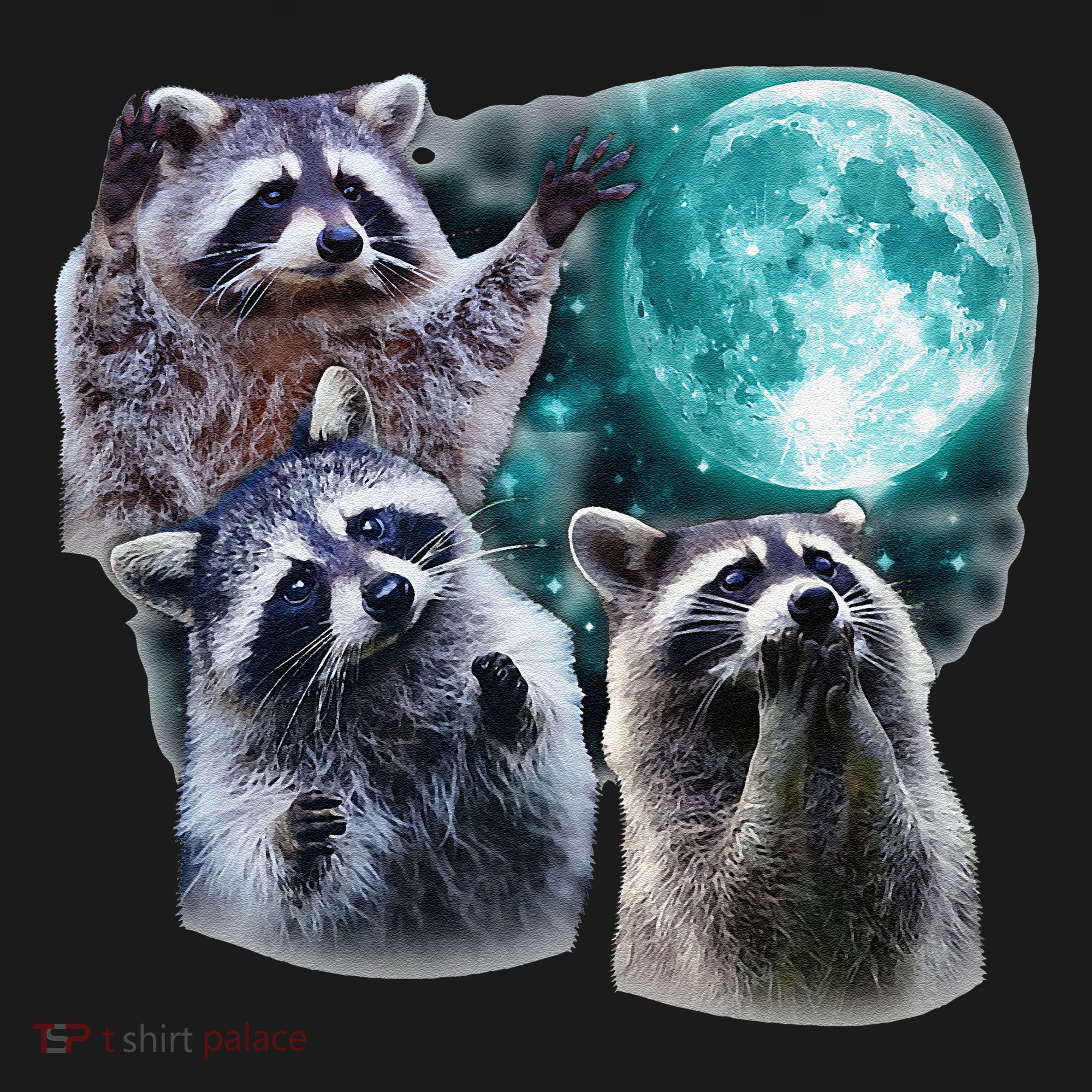 Funny Raccoon Boxer Trash Money We Gettin Rich Women's Hoodie