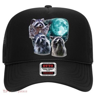 Funny Raccoon Boxer Trash Money We Gettin Rich Hat