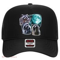 Funny Raccoon Boxer Trash Money We Gettin Rich Hat thumb 0