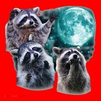 Funny Raccoon Boxer Trash Money We Gettin Rich Santa Hat thumb 1