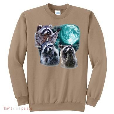 Funny Raccoon Boxer Trash Money We Gettin Rich Sweatshirt