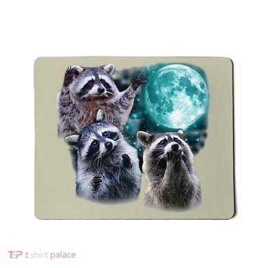 Funny Raccoon Boxer Trash Money We Gettin Rich Mousepad
