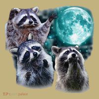 Funny Raccoon Boxer Trash Money We Gettin Rich Kids T-Shirt thumb 2
