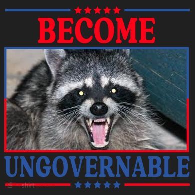 Funny Raccoon Become Ungovernable Comfort Colors Boxy T-Shirt