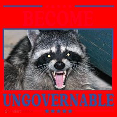 Funny Raccoon Become Ungovernable Santa Hat