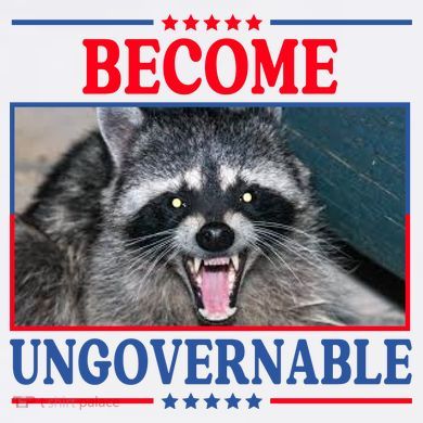 Funny Raccoon Become Ungovernable Sustainable Bucket Hat