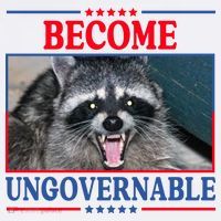 Funny Raccoon Become Ungovernable Beanie thumb 2