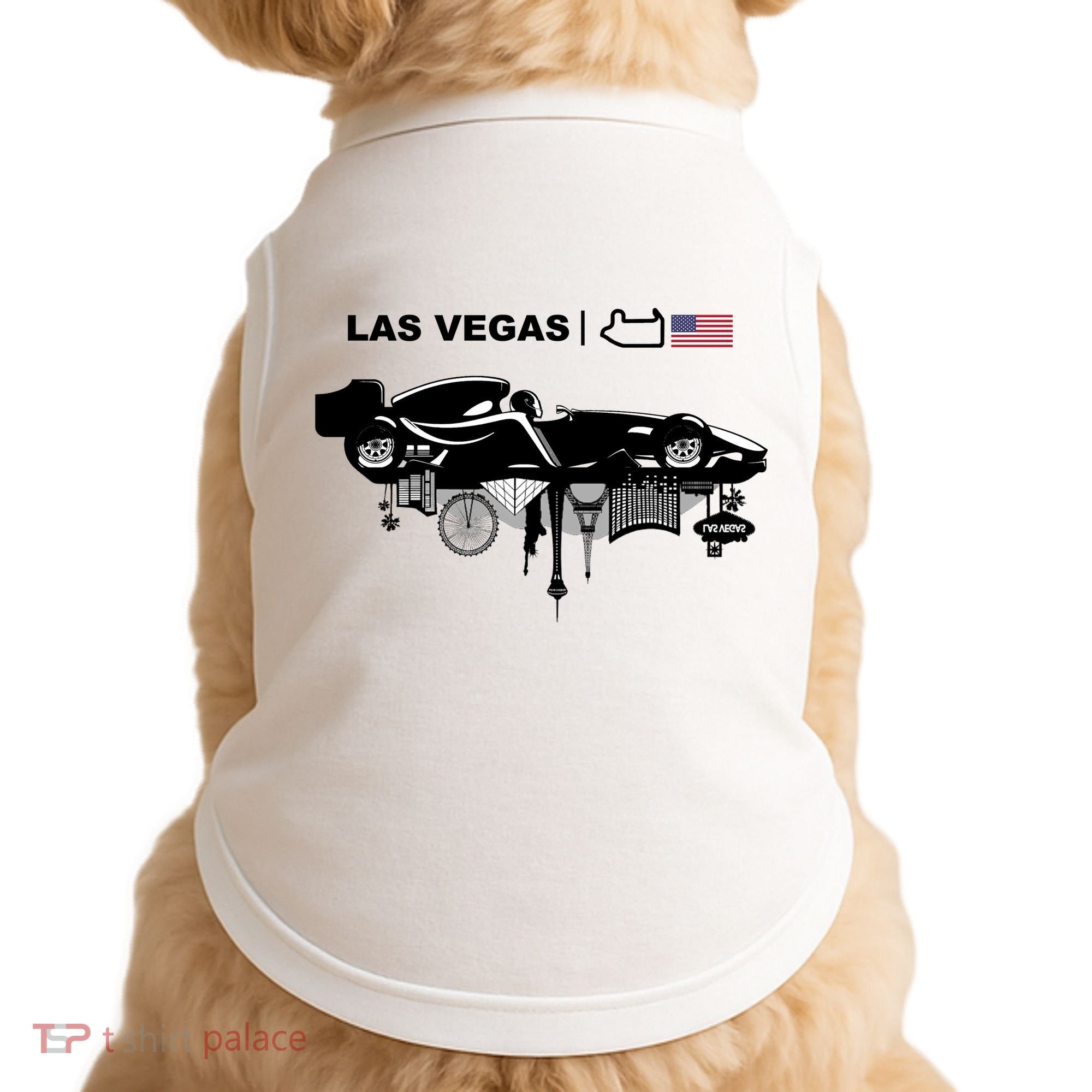 Formula Racing Car Las Vegas Circuit Usa Doggie Tank