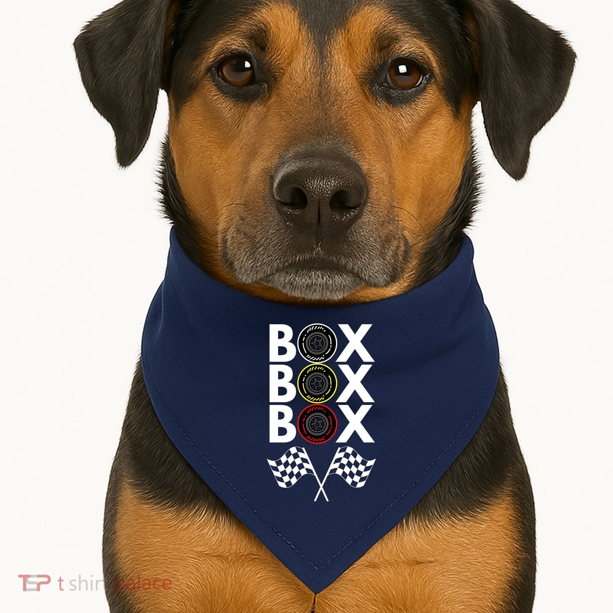 Formula Racing Car, Box Box Box Radio Call To PitBox Car Race USA-Made Doggie Bandana