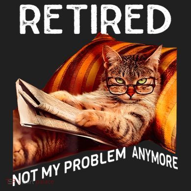Funny Retired Cat Reading Not My Problem Anymore Retirement Ladies Heavyweight Boxy Pullover Hoodie