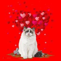 Funny Ragdoll Cat Animal Lover Ragdoll Cat Valentine's Day Santa Hat thumb 1