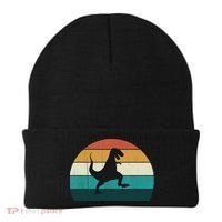 Funny Retro Dinosaur Gift Great Dino TRex TRex Lovers Gift Beanie thumb 0
