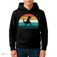 Funny Retro Dinosaur Gift Great Dino TRex TRex Lovers Gift Kids Hoodie thumb 4