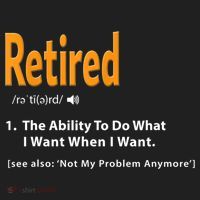 Funny Retired Definition Gift Funny Retirement Gag Gift Beanie thumb 2