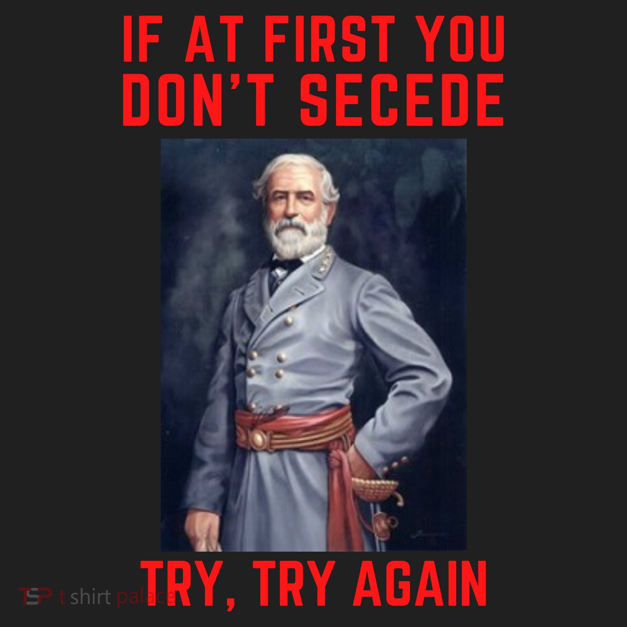 Funny Robert E. Lee Secede Civil War Secession Beanie