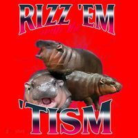 Funny Rizz Em With The Tism Meme Moo Deng Baby Hippo Santa Hat thumb 1