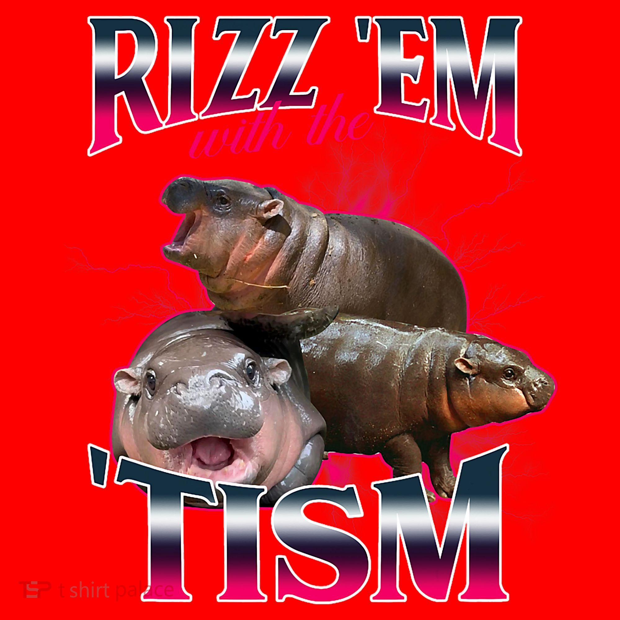 Funny Rizz Em With The Tism Meme Moo Deng Baby Hippo Santa Hat